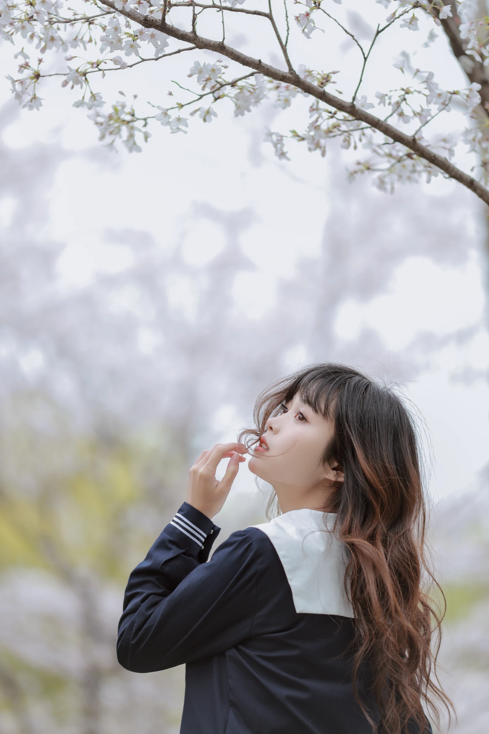 图片[3]-樱花树下 小薇人儿-COS世界