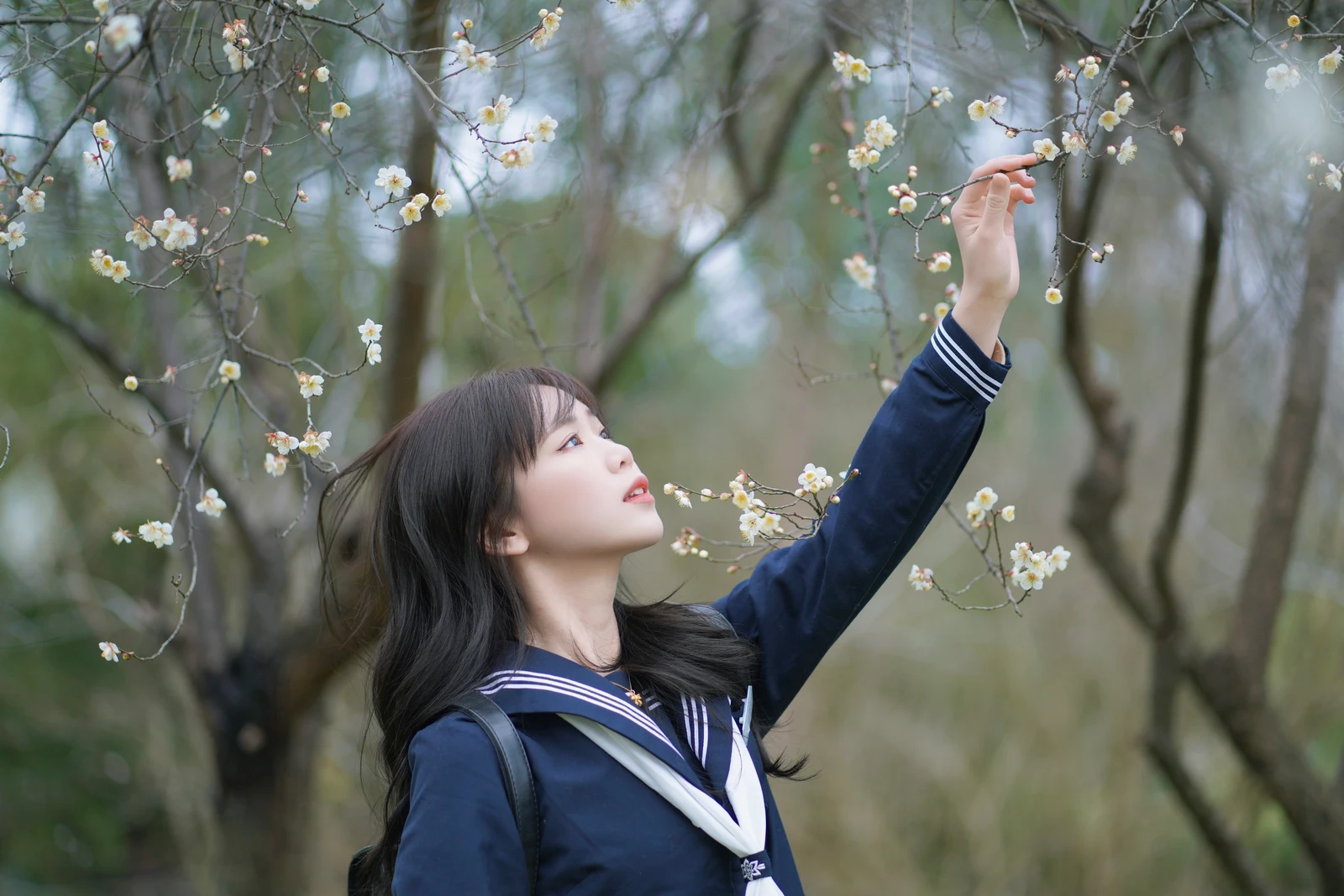 图片[4]-梅花树下 泡芙小方-COS世界