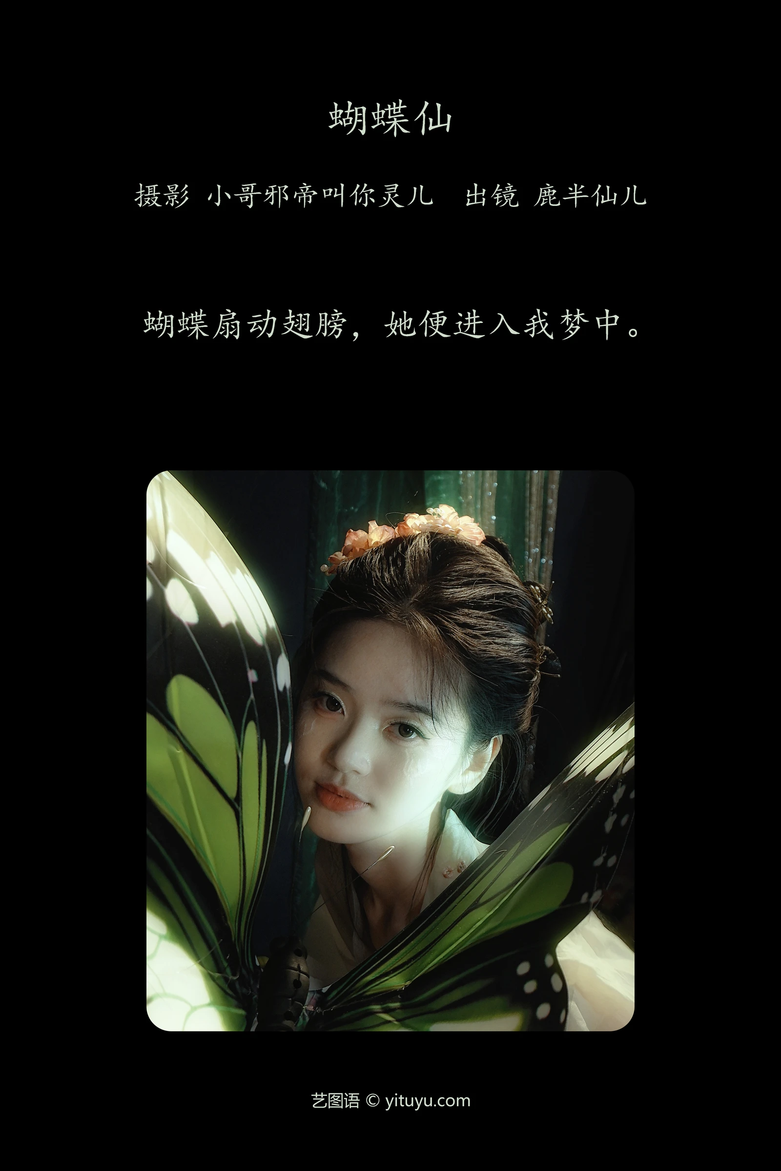 蝴蝶仙 鹿半仙儿-COS世界