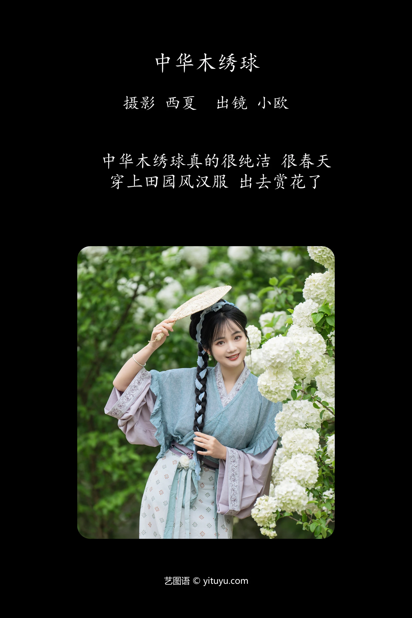 YITUYU艺图语 2024.05.10 中华木绣球 小欧O-COS世界