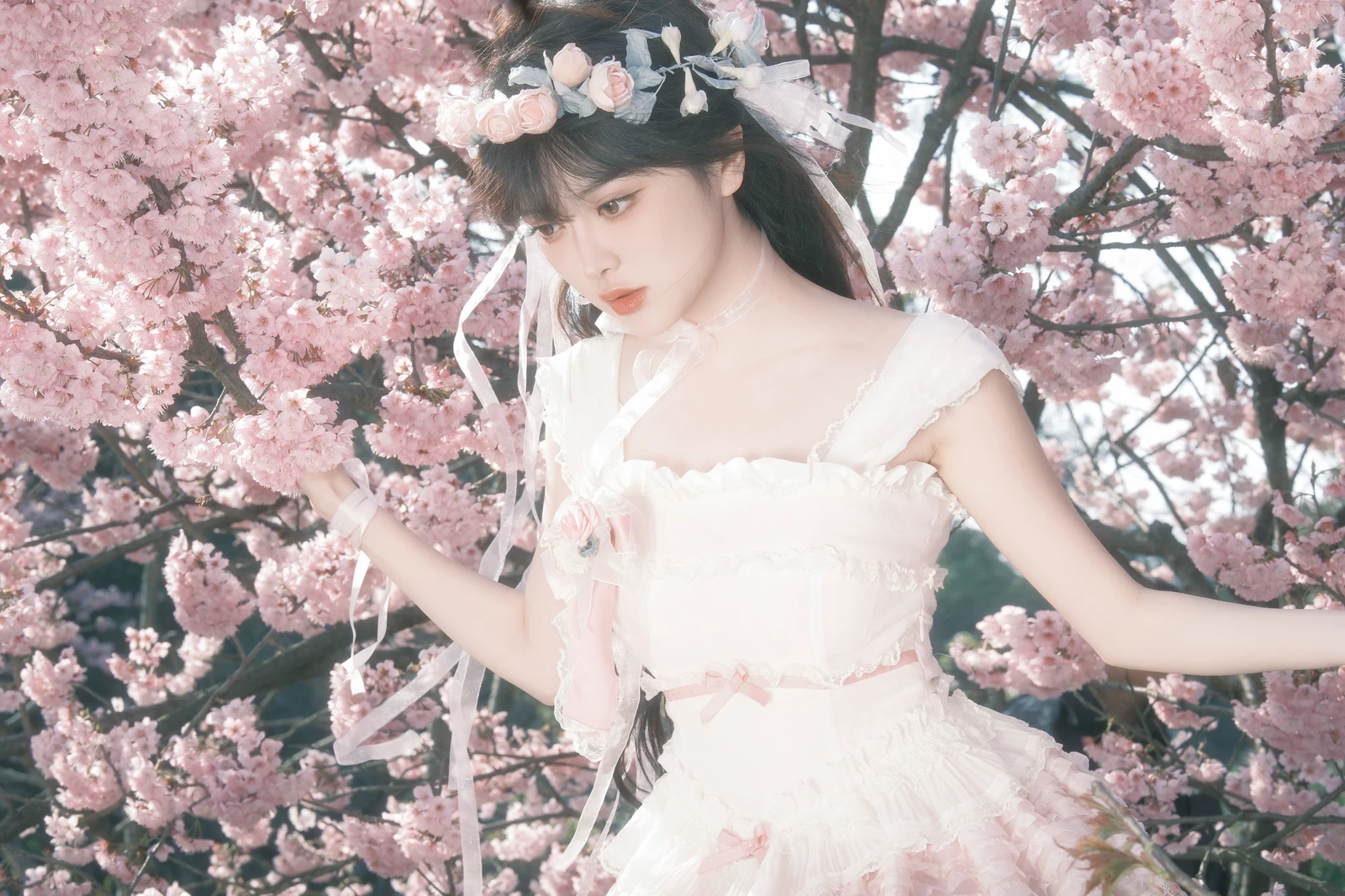 图片[3]-YITUYU艺图语 2024.03.24 樱花少女梦 星之卡桃-COS世界