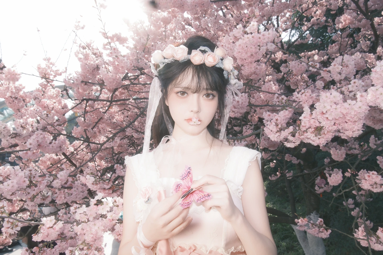 图片[4]-YITUYU艺图语 2024.03.24 樱花少女梦 星之卡桃-COS世界