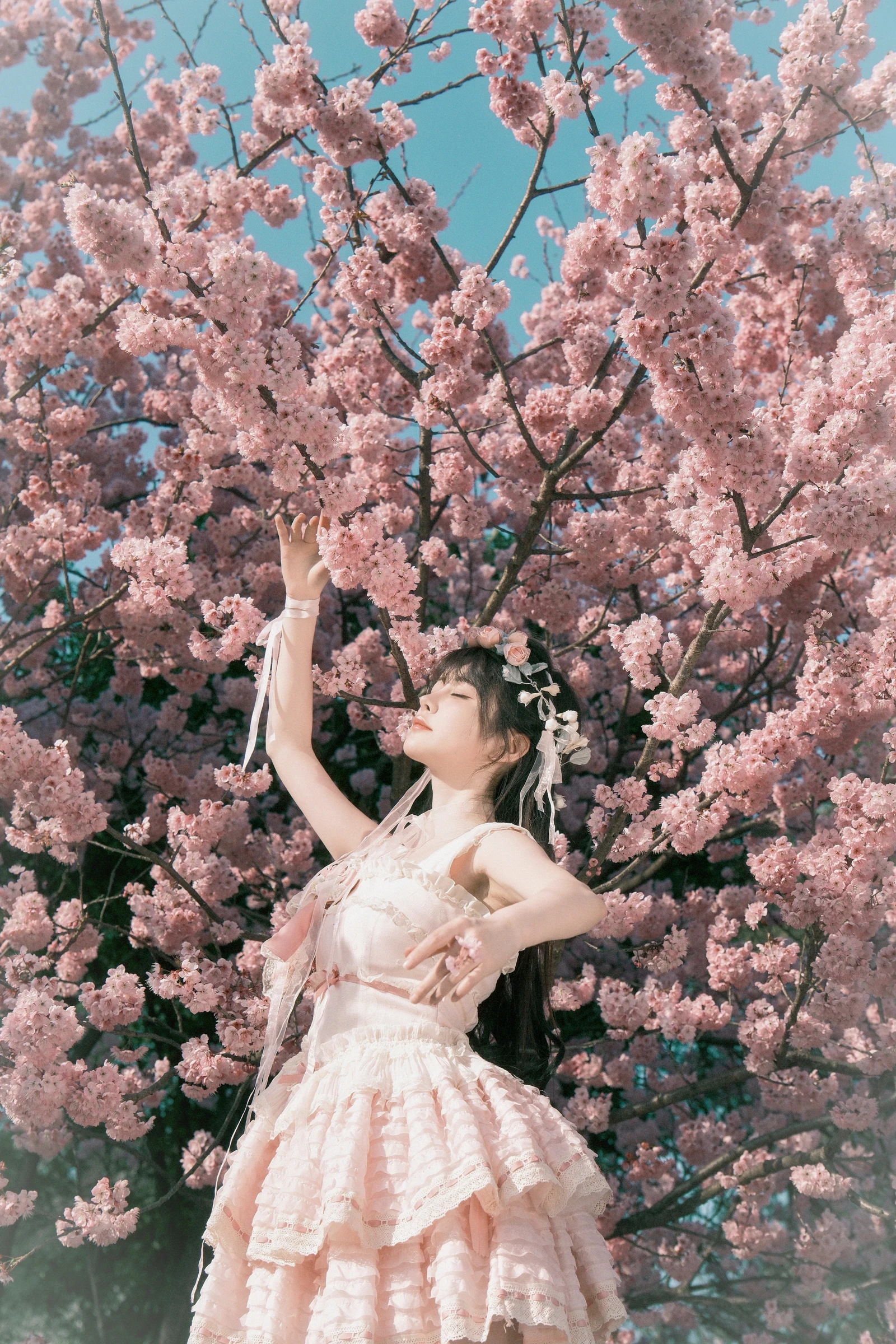图片[5]-YITUYU艺图语 2024.03.24 樱花少女梦 星之卡桃-COS世界